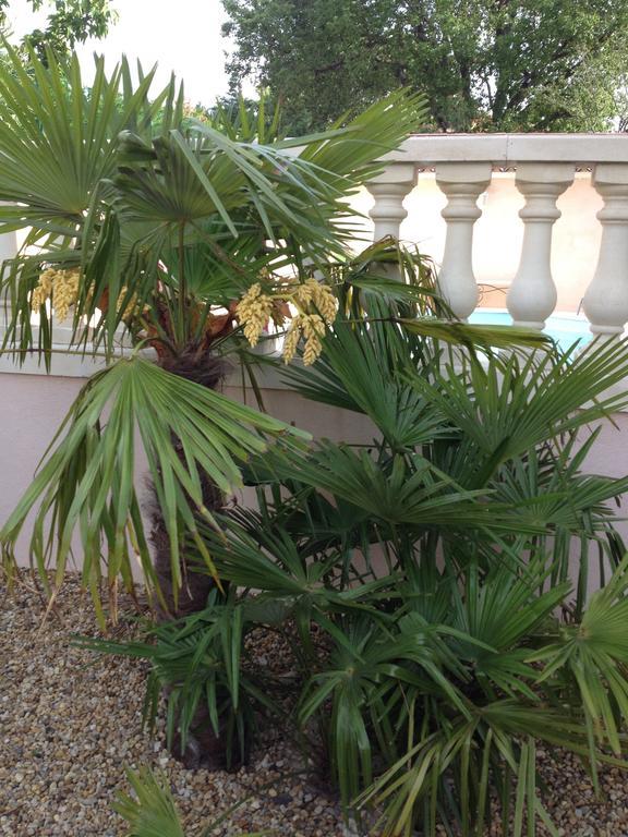 Villa Clairelou Pertuis Dış mekan fotoğraf